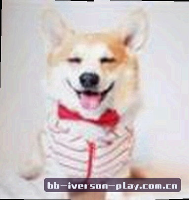 陈浩